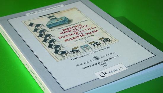 Derechos sobre el agua de la fuente de la villa en la huerta de Palma I